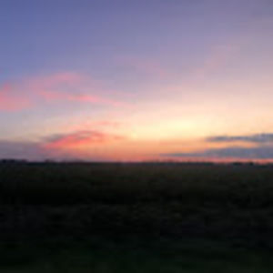 Meet your Posher, Addisen